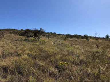 Fazenda para Gado, Soja ou reserva na Serra Bonita Buritis - MG