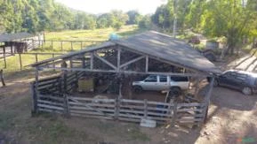 FAZENDA DE EUCALIPTO OU GADO EM PIRENÓPOLIS - GO