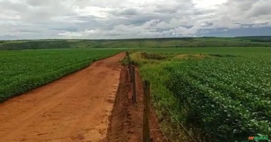 FAZENDA DUPLA APTIDÃO PLANTANDO (SAFRA E SAFRINHA) EM CRISTALINA-GO