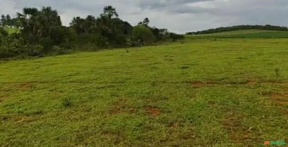 FAZENDA DUPLA APTIDÃO PLANTANDO (SAFRA E SAFRINHA) EM CRISTALINA-GO