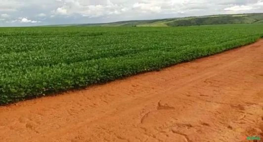 FAZENDA DUPLA APTIDÃO PLANTANDO (SAFRA E SAFRINHA) EM CRISTALINA-GO