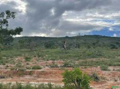 FAZENDA PARA SOJA OU GADO NA SERRA BONITA BURITIS - MG