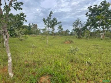 FAZENDA PARA SOJA OU GADO NA SERRA BONITA BURITIS - MG