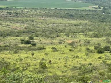 FAZENDA PARA SOJA OU GADO NA SERRA BONITA BURITIS - MG