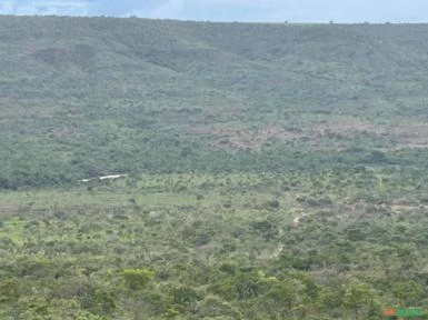 FAZENDA PARA SOJA OU GADO NA SERRA BONITA BURITIS - MG