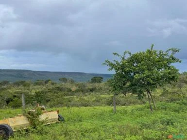 FAZENDA PARA SOJA OU GADO NA SERRA BONITA BURITIS - MG