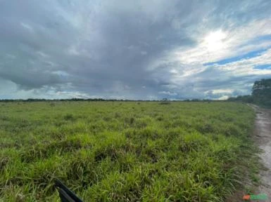 FAZENDA PARA SOJA OU GADO NA SERRA BONITA BURITIS - MG