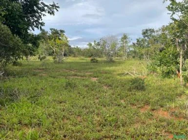 FAZENDA PARA SOJA OU GADO NA SERRA BONITA BURITIS - MG