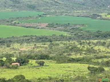 FAZENDA PARA SOJA OU GADO NA SERRA BONITA BURITIS - MG