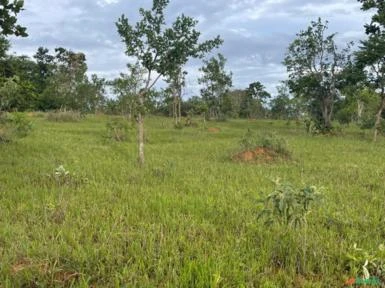 FAZENDA PARA SOJA OU GADO NA SERRA BONITA BURITIS - MG