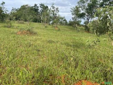 FAZENDA PARA SOJA OU GADO NA SERRA BONITA BURITIS - MG