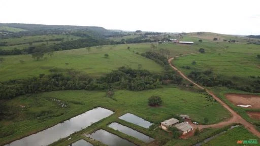 Fazenda para Soja, Milho em São Miguel do Passa Quatro-GO