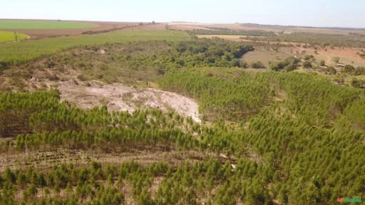 FAZENDA A VENDA EM DF-270 PAD – DF PARANOÁ – DF