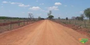 FAZENDA PARA ARRENDAMENTO DE SOJA - 1.096 HA