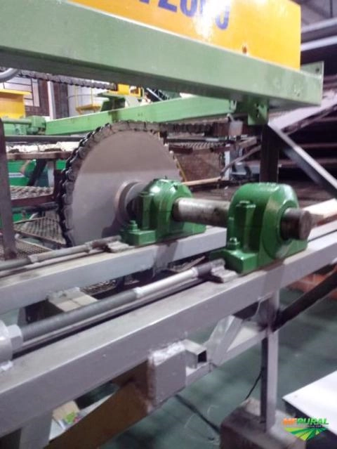 Imagem Maquina de bandeja para ovos Imagem Maquina de bandeja para ovos