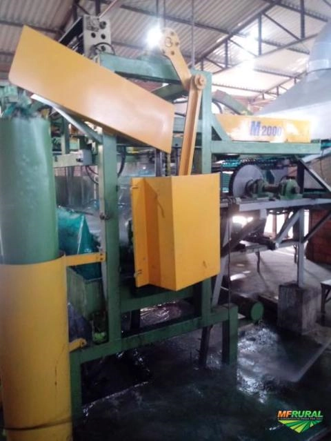 Imagem Maquina de bandeja para ovos Imagem Maquina de bandeja para ovos