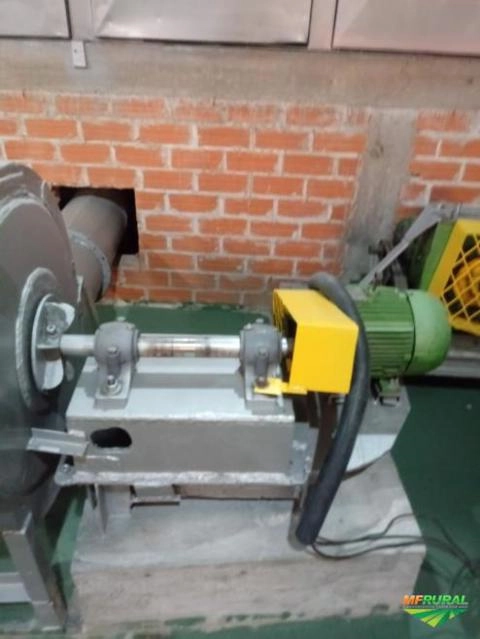 Imagem Maquina de bandeja para ovos Imagem Maquina de bandeja para ovos