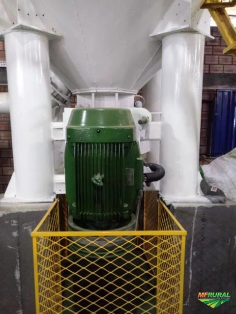 Imagem Maquina de bandeja para ovos Imagem Maquina de bandeja para ovos