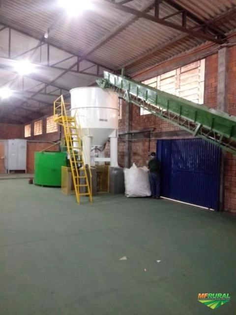 Imagem Maquina de bandeja para ovos Imagem Maquina de bandeja para ovos