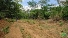 Fazenda em Santo Afonso/MT 249 hectares