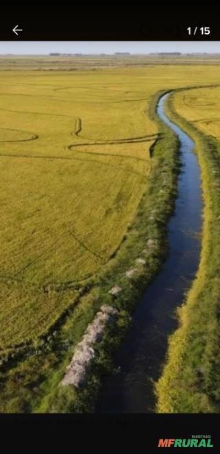 Fazenda no Uruguai Próxima da Fronteira com o Brasil