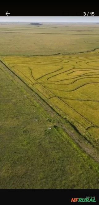 Fazenda no Uruguai Próxima da Fronteira com o Brasil