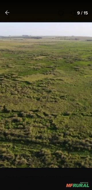 Fazenda no Uruguai Próxima da Fronteira com o Brasil