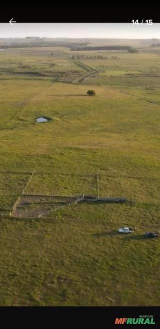 Fazenda no Uruguai Próxima da Fronteira com o Brasil