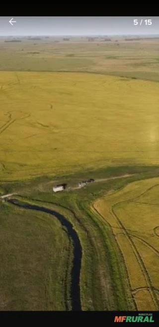 Fazenda no Uruguai Próxima da Fronteira com o Brasil