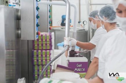 Tenha sua marca própria de AÇAÍ! Ideal para distribuidores, indústrias, atacados e varejistas. Imagem Tenha sua marca própria de AÇAÍ! Ideal para distribuidores, indústrias, atacados e varejistas.