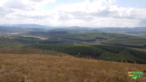 Fazenda Eucalipto Andrelândia MG