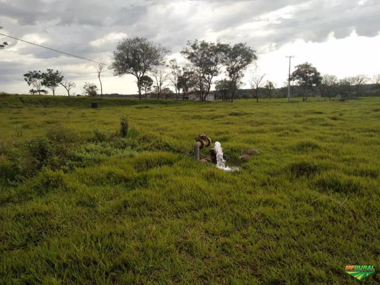 Propriedade com fonte de água mineral no Paraná