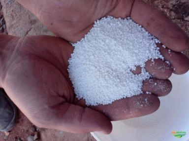 Adubo salitre do chile Imagem Adubo salitre do chile