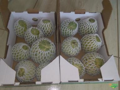 Imagem Pinha ou fruta do conde Imagem Pinha ou fruta do conde