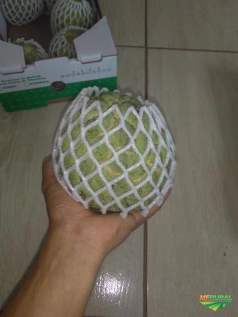 Imagem Pinha ou fruta do conde Imagem Pinha ou fruta do conde