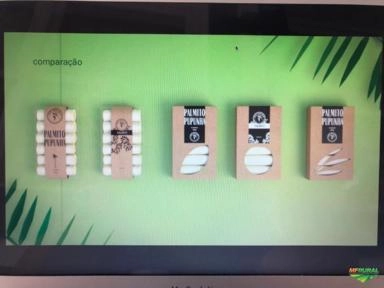 Palmito IN NATURA Imagem Palmito IN NATURA