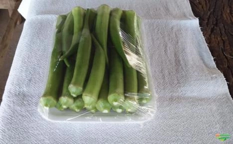 Vendo Quiabo de Ótima Qualidade Imagem Vendo Quiabo de Ótima Qualidade