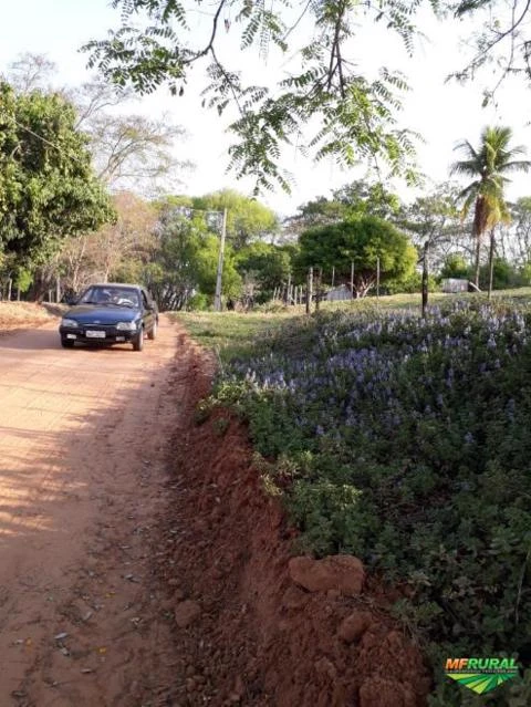 Sítio de 18 alqueires na região de Marília