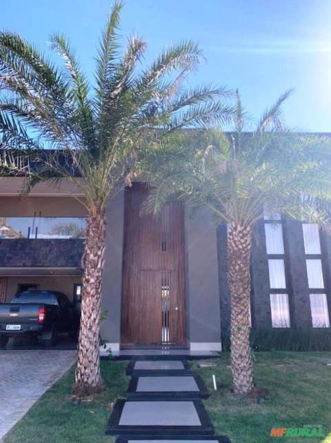 Imagem PRODUTOR DE TAMAREIRA - VIVEIRO DE MUDAS E PLANTAS ADULTAS Imagem PRODUTOR DE TAMAREIRA - VIVEIRO DE MUDAS E PLANTAS ADULTAS