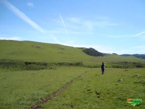 Imóvel Rural localizado no município de São José dos Ausentes RS.