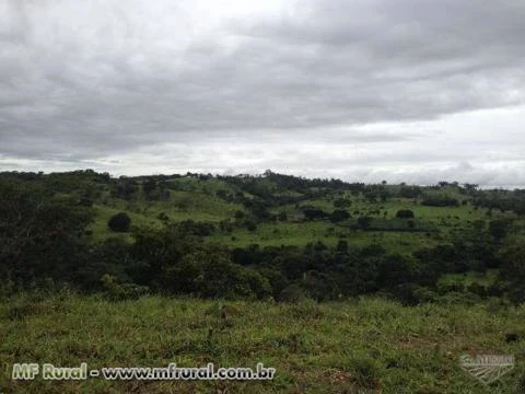 fazenda há 135 km de Goiânia - RICA DE ÁGUA