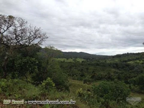 fazenda há 135 km de Goiânia - RICA DE ÁGUA