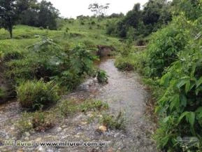 fazenda há 135 km de Goiânia - RICA DE ÁGUA