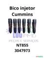 Bico injetor Cummins NT855 Imagem Bico injetor Cummins NT855