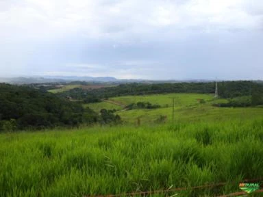 Sítio excelente localização em Jarinú