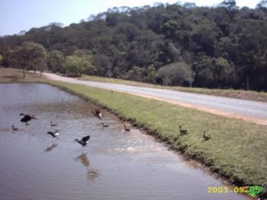 Sítio excelente localização em Jarinú