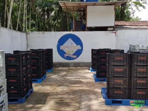 Imagem Fabrica de açaí Imagem Fabrica de açaí