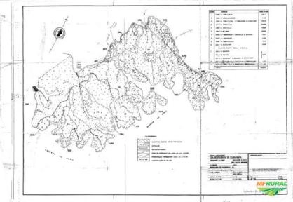 Floresta de eucalipto (302ha) em Itatiaia/RJ Imagem Floresta de eucalipto (302ha) em Itatiaia/RJ