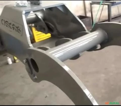 Garra florestal Imagem Garra florestal