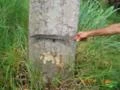 Madeira Eucalipto Citriodora para Construção